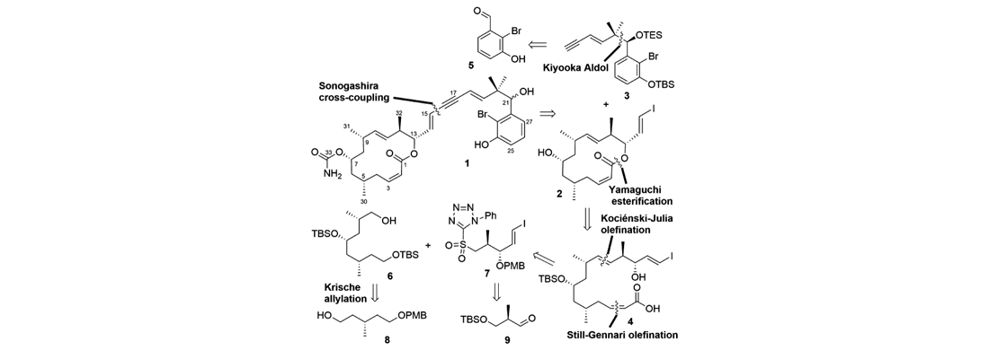 Total Synthesis and Stereochemical Assignment of Callyspongiolide